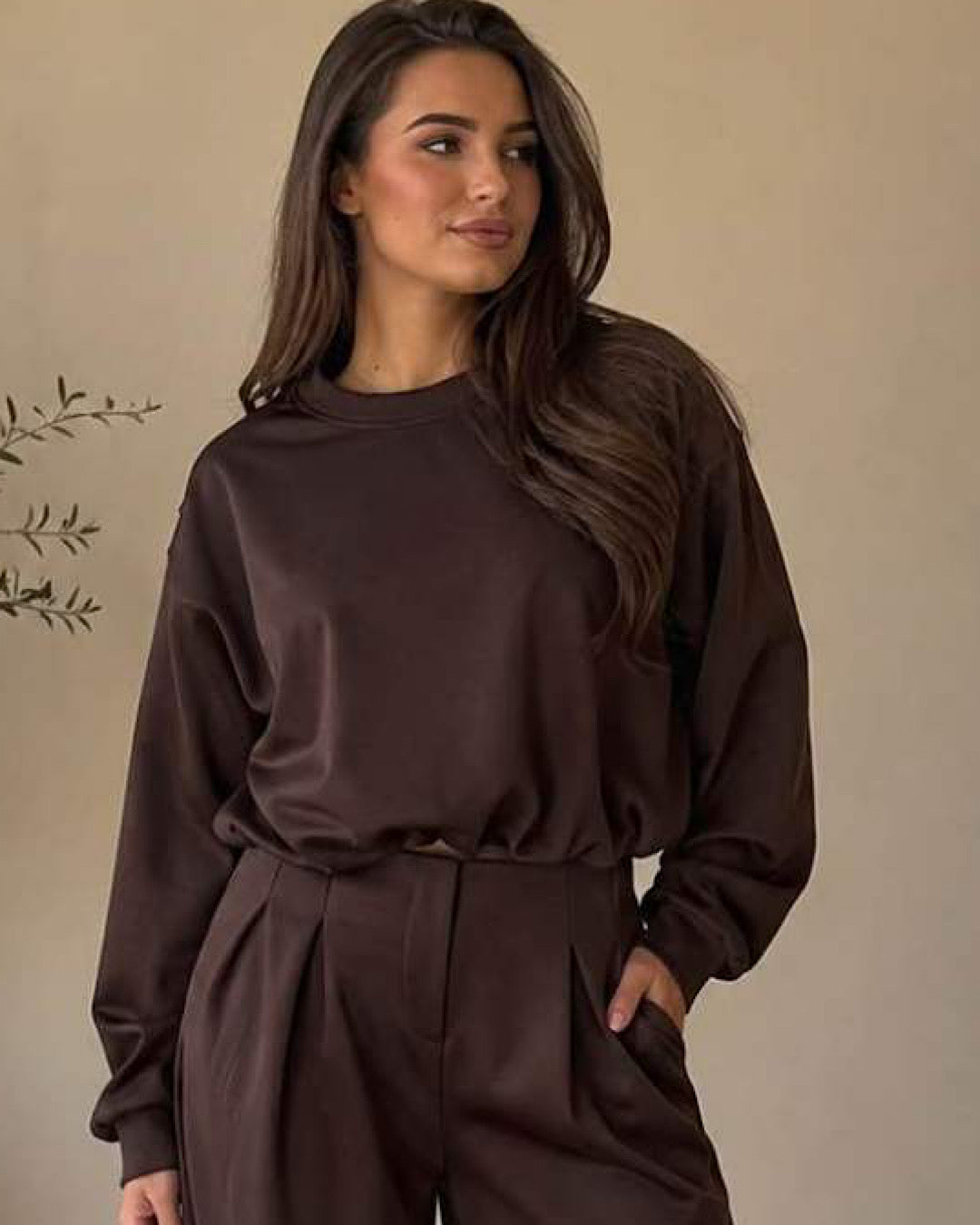Brown Top & Trousers Suit