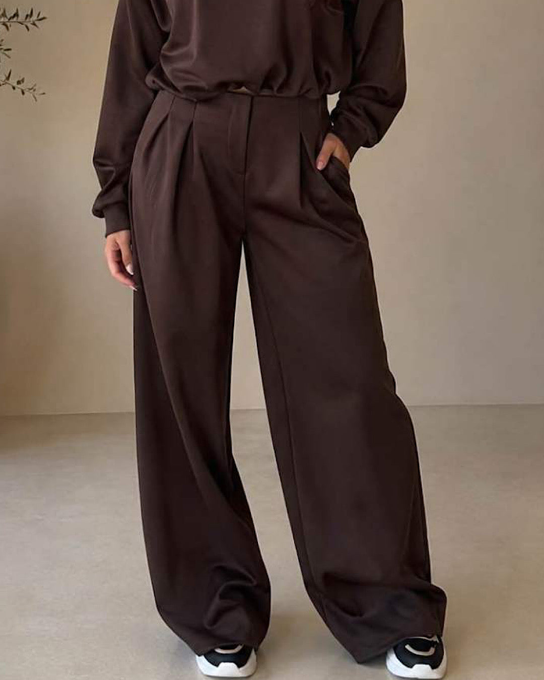 Brown Top & Trousers Suit